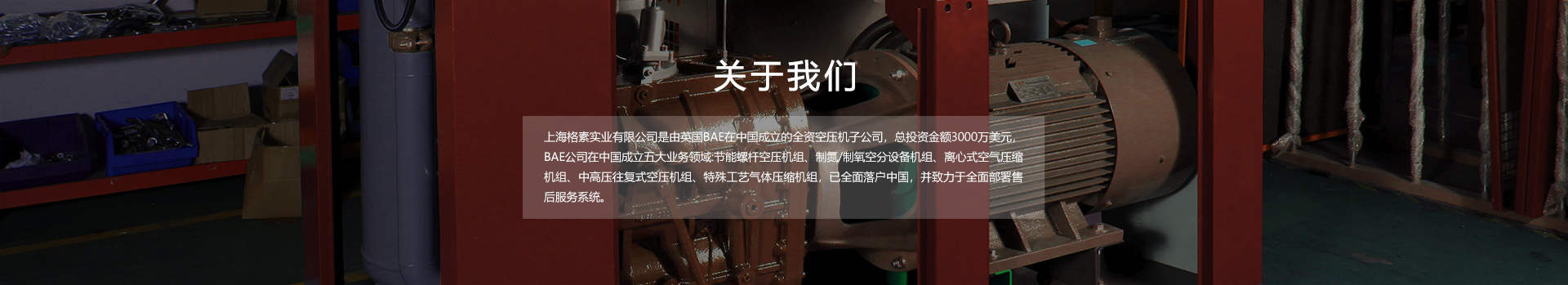 關(guān)于格素